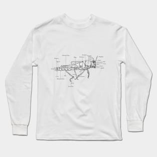 Anatomically Correct Grasshopper (labled) Long Sleeve T-Shirt